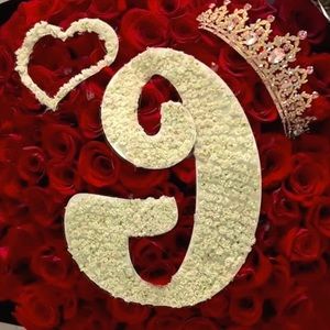 Meet your Posher, Genesis